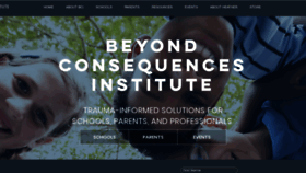 What Beyondconsequences.com website looked like in 2023 (This year)