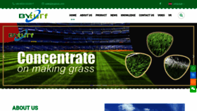 What Bygrass.com website looked like in 2023 (This year)