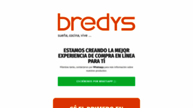 What Bredys.com website looked like in 2023 (This year)