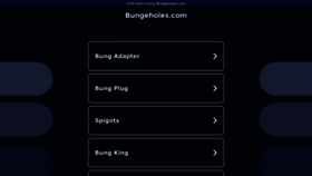 What Bungeholes.com website looked like in 2023 (This year)