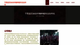 What Baiyushanyao.com website looked like in 2023 (This year)