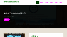 What Bailimeimei.com website looked like in 2023 (This year)