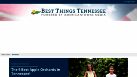 What Bestthingstn.com website looked like in 2023 (This year)