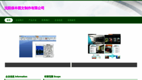 What Baofengtw.com website looked like in 2023 (This year)
