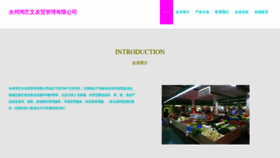 What Bjhongyiwenhua.com website looked like in 2023 (This year)