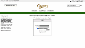 What B2b.casparionline.com website looked like in 2023 (This year)