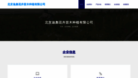 What Bjdibiao.com website looked like in 2023 (This year)