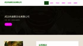 What Bjshangbeng.com website looked like in 2023 (This year)