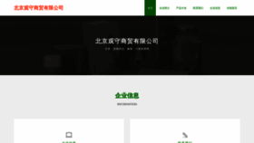 What Bjguanshou.com website looked like in 2023 (This year)