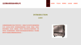 What Bjjunai.com website looked like in 2023 (This year)