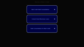 What Biz4loans.com website looked like in 2023 (1 year ago)