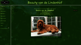 What Beautyvandelindenhof.nl website looked like in 2023 (This year)