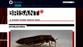 What Brisant.de website looked like in 2023 (This year)