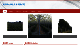 What Bangdongzhongye.top website looked like in 2023 (This year)