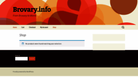 What Brovary.info website looked like in 2023 (This year)
