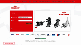 What B2b.royalcanin.com.tr website looked like in 2023 (This year)