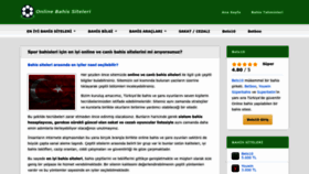 What Bursaspor.org website looked like in 2023 (This year)