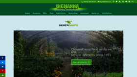 What Bighanna.com website looked like in 2023 (This year)