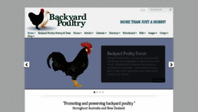 What Backyardpoultry.com website looked like in 2023 (This year)