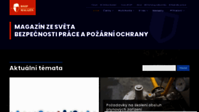 What Bozpforum.cz website looked like in 2023 (This year)