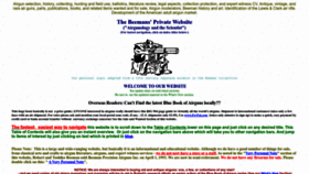 What Beemans.net website looked like in 2023 (This year)
