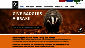 What Badger.org.uk website looked like in 2023 (This year)