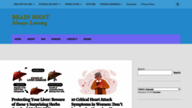 What Brainboost.blog website looked like in 2023 (This year)