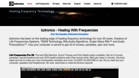 What Bztronics.com website looked like in 2023 (This year)