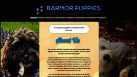 What Barmorkennels.com website looks like in 2024 