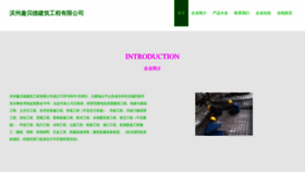 What Bzqubdg.cn website looks like in 2024 