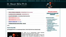 What Bauerbela.ro website looks like in 2024 