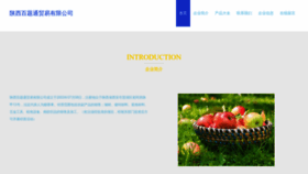 What Blbtiot.cn website looks like in 2024 