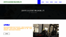 What Bzhltkx.cn website looks like in 2024 