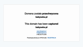 What Babyseka.pl website looks like in 2024 