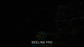 What Beeline-pro.com website looks like in 2024 