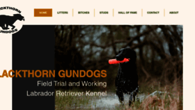 What Blackthorngundogs.com website looks like in 2024 