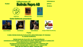 What Bollnasrepro.se website looks like in 2024 