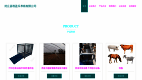 What Baokinl.cn website looks like in 2024 