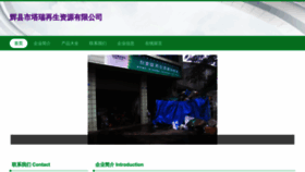 What Bdxtarp.cn website looks like in 2024 