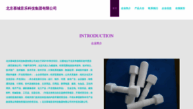 What Bjmocang.cn website looks like in 2024 