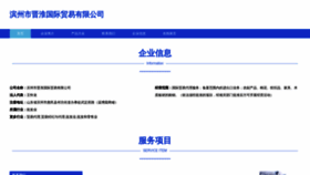 What Byy666.cn website looks like in 2024 