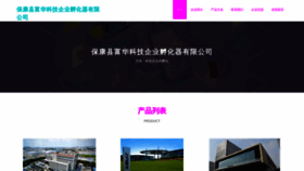 What Bkfuhua.com website looks like in 2024 