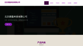 What Biyingli.com website looks like in 2024 