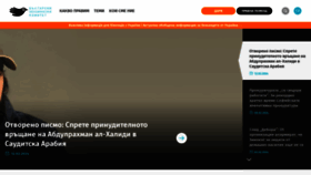 What Bghelsinki.org website looks like in 2024 