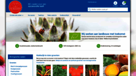 What Bolster.nl website looks like in 2024 