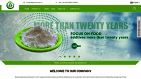 What Bhfoodadditive.com website looks like in 2024 