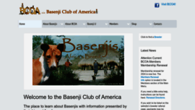 What Basenji.org website looks like in 2024 
