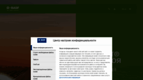 What Basf.ru website looks like in 2024 
