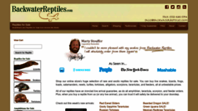 What Backwaterreptiles.com website looked like in 2024 (1 year ago)