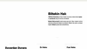 What Biltekinhali.com website looks like in 2024 